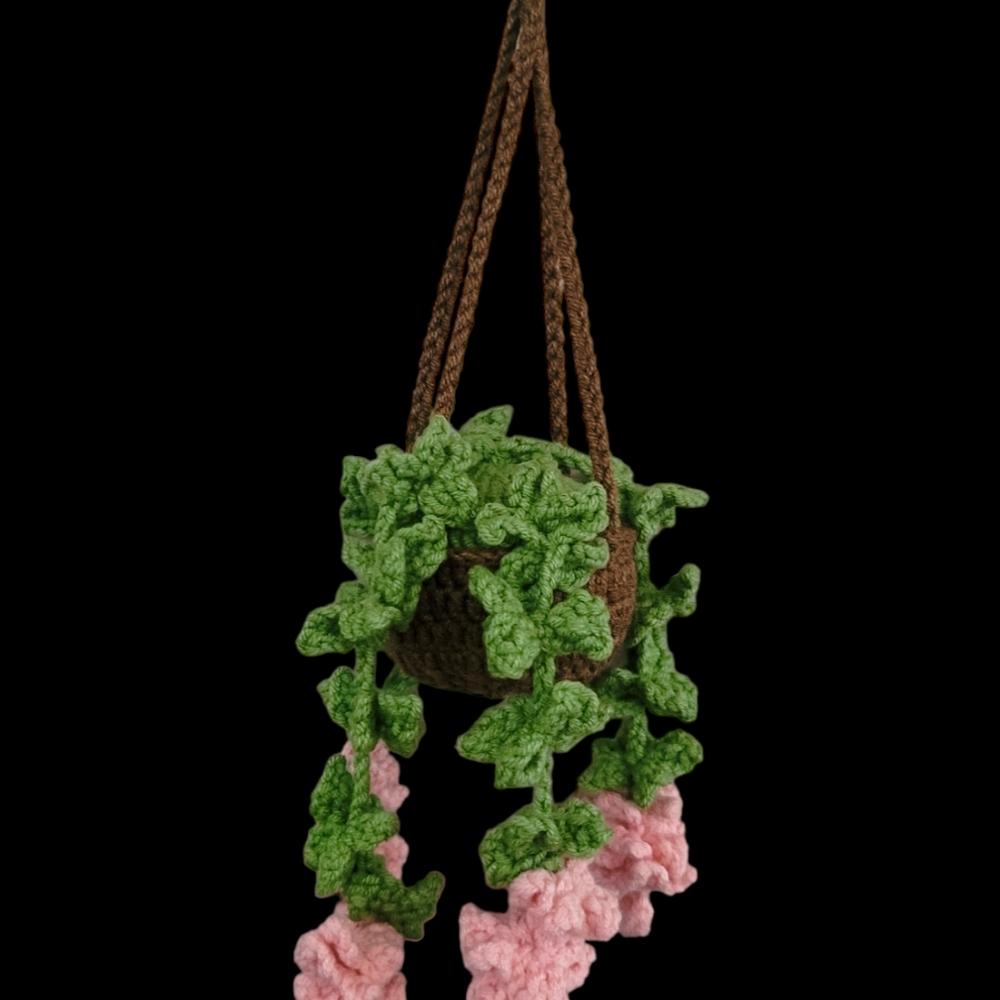Handmade Mini Hanging Plant